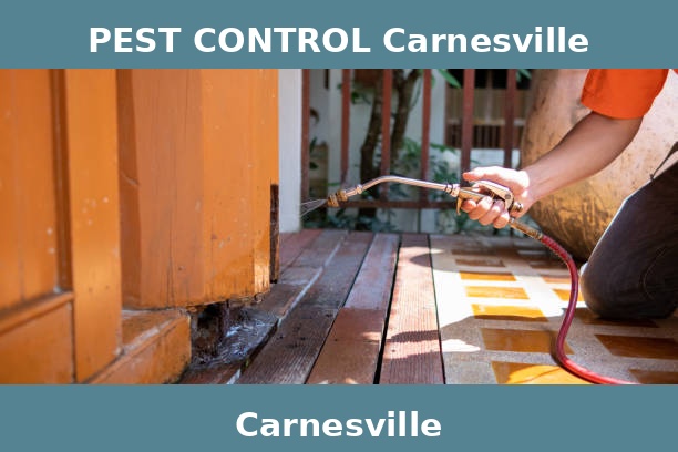 PEST CONTROL Carnesville